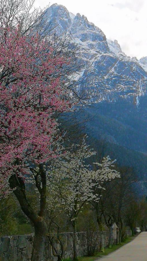 Rosis Cottage Lienz Buitenkant foto